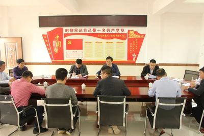 县委常委、组织部部长陈友爱到西坪镇调研