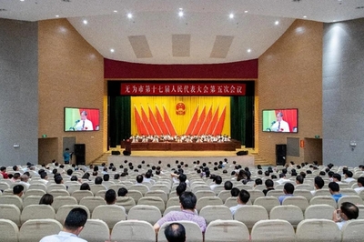 无为市先锋网__无为市委组织部