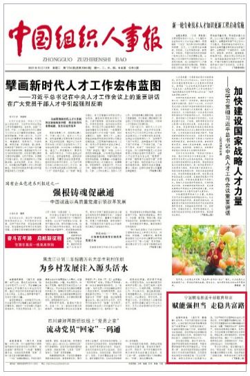 宁波党建与中共宁波市委组织部的职责与作用