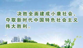 专家下乡送技术，组织服务暖民心